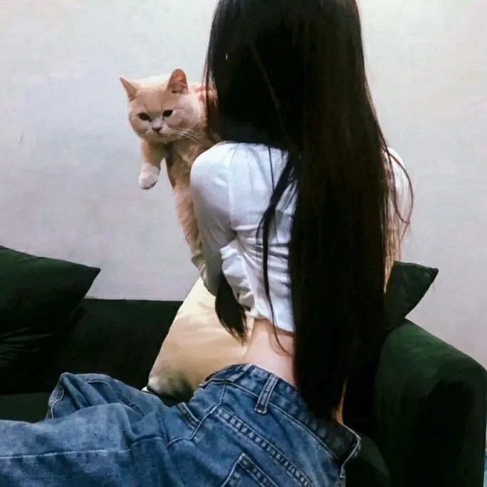 烂滚夫斗烂滚妻